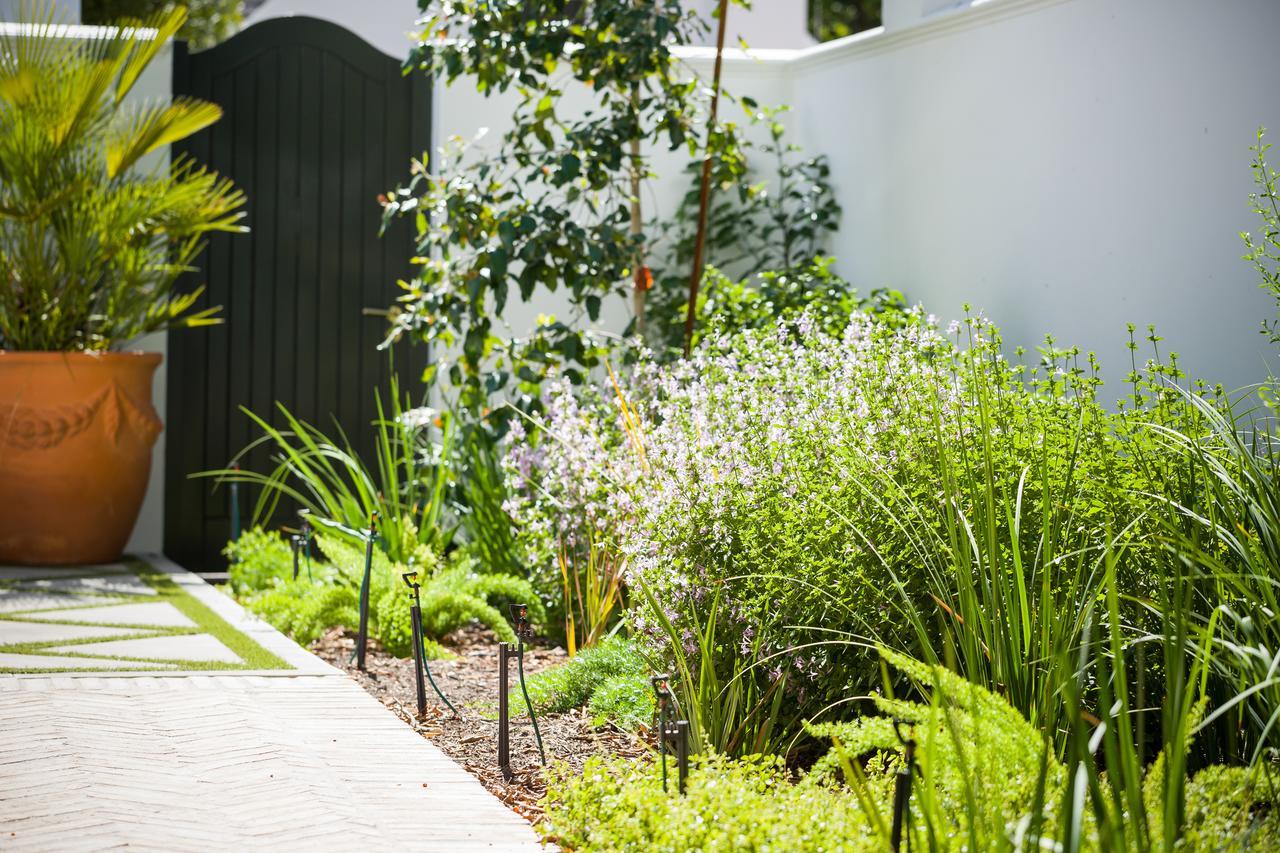 Akademie Street Boutique Hotel Franschhoek Extérieur photo